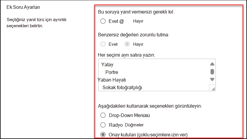 Ek soru ayarlarının ekran görüntüsü