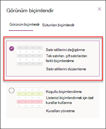 diğer satırları biçimlendirmenin ekran görüntüsü