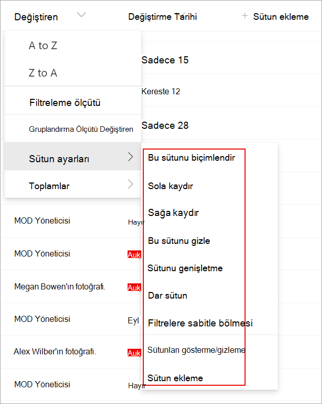 Listenizi değiştirmek için kullanabileceğiniz bir listedeki sütun ayarlarını gösteren ekran görüntüsü.