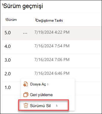 Sürüm silme ekran görüntüsü