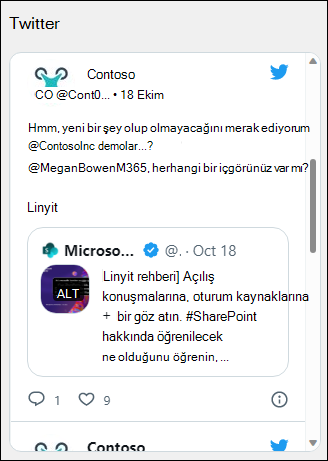 Twitter web bölümünün önizlemesi.