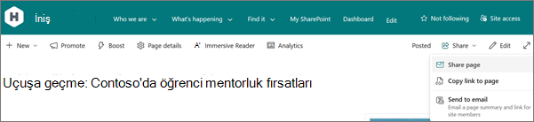 Sayfanın sağ üst kısmındaki Paylaş düğmesinin ekran görüntüsü.