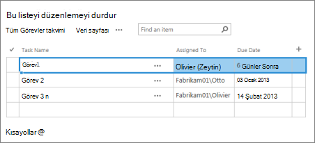 Veri Sayfası görünümü