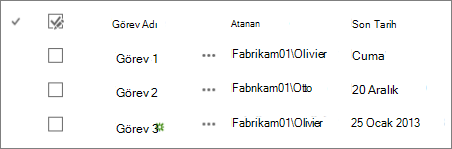 Standart bir görünüm