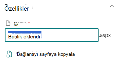 Sayfa ayrıntılarının altında sayfa adı