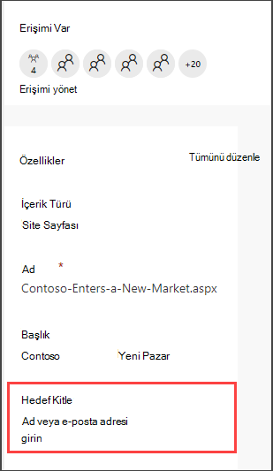Hedef kitle girme seçeneği olan sayfa ayrıntıları bölmesi