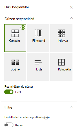 Seçilen düzen için ek seçenekleri gösteren özellikler bölmesi.