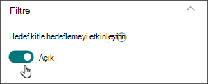 Açık konumda hedef kitleyi hedeflemeyi etkinleştirmeyi sağlayan iki durumlu düğmeyi içeren düzenleme bölmesinin resmi