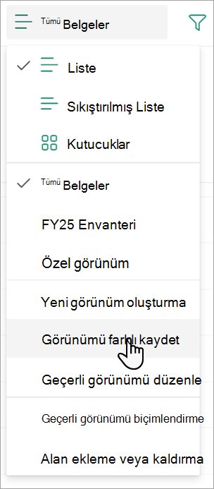 Görünümünüzü adlandırmak için kullanabileceğiniz Görünümü farklı kaydet komutunu gösteren ekran görüntüsü.