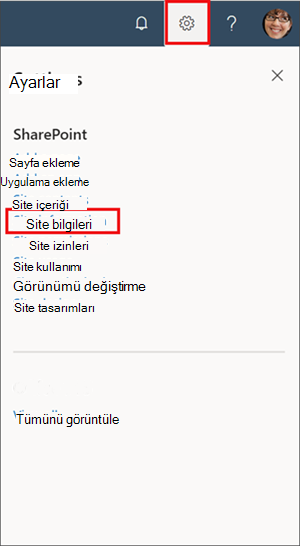 Site bilgilerinin vurgulandığı ayarlar panelinin resmi