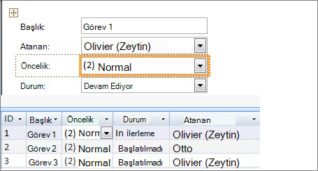 Microsoft Access ile görünüm oluşturma
