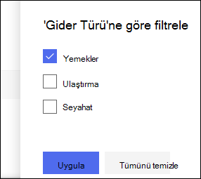 SharePoint Online Liste Filtresi bölmesi