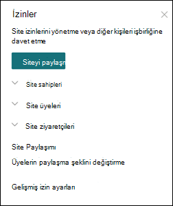 SharePoint site izinleri bölmesi