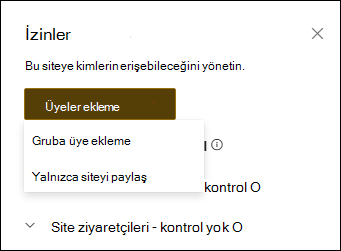 Açılır menülü izinler panelinin önizlemesi.