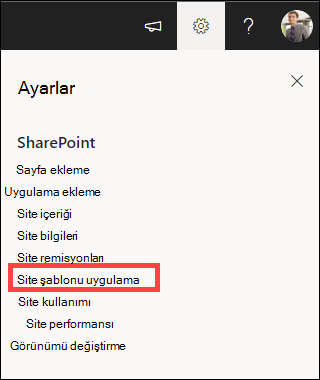 Site şablonu uygula seçeneğinin vurgulandığı Ayarlar