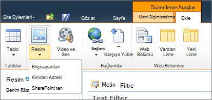 Şeritteki resim düğmesine tıklayın ve bilgisayardan, adresten veya SharePoint'ten seçim yapın.