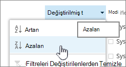 Bir sütun başlığında açılan sıralama menüsü