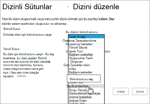 Açılan liste kutusundan sütunun seçildiği dizin sayfasını düzenle