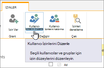 İzin düzeyini değiştirmek için İzinleri Düzenle'ye tıklayın