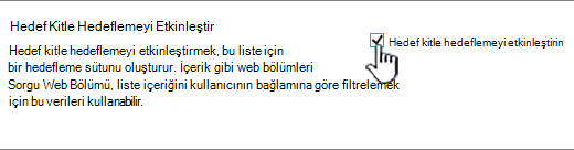 İzleyici hedeflemeyi etkinleştir onay kutusu