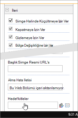 Hedef kitlenin vurgulandığı Web bölümü özellikleri gelişmiş bölümü