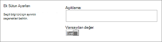 Evet/Hayır sütunu seçenekleri