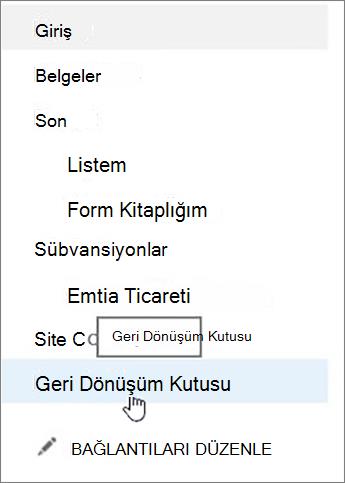 Sol gezintide Geri Dönüşüm Kutusu’nu seçin.