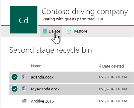 SharePoint Online, sil düğmesinin vurgulandığı ikinci düzey geri dönüşüm