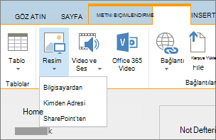 SharePoint Online şeridinin ekran görüntüsü. Ekle sekmesini seçin ve ardından Resim’i seçerek dosyanın bilgisayarınızdan mı, web adresinden mi, yoksa SharePoint konumundan mı karşıya yükleneceğini belirtin.