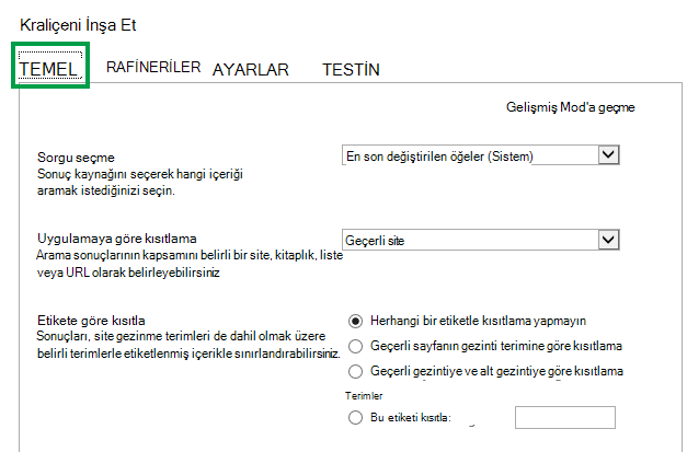 İçerik Arama Web Bölümünde sorgu yapılandırırken TEMEL sekmesi