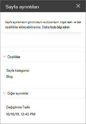 Blog Sayfa kategorisinin bulunduğu sayfa ayrıntıları bölmesi