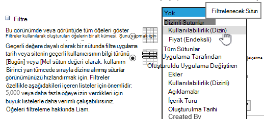 SharePoint Online'da dizine alınmış bir alan seçin