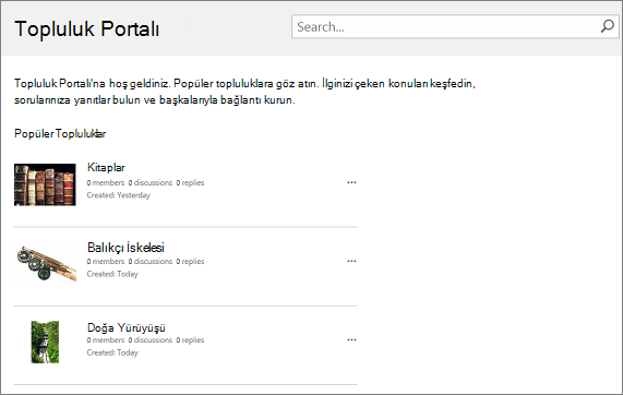 Topluluk portalı örneği