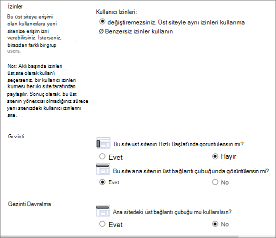 Site Oluştur iletişim kutusunun alt yarısı