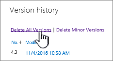 Tüm sürümleri sil seçeneğinin vurgulandığı Sürüm iletişim kutusu