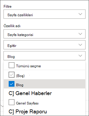 Haberler web bölümü bölmesinde Bloglar olarak ayarlanan filtre