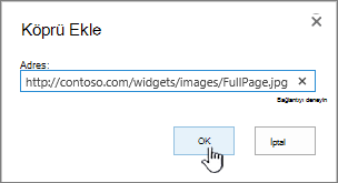 Web adresinin ve Tamam düğmesinin vurgulandığı Köprü iletişim kutusu