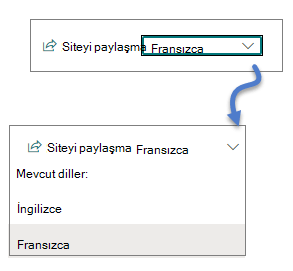 Dil açılan listesi