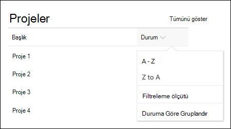 Sıralama, filtreleme ve gruplandırma menüsüyle liste web bölümü