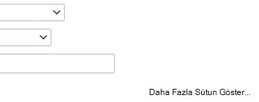 Filtre tanımınıza başka bir giriş eklemeniz gerekiyorsa Daha fazla sütun göster'i seçin.
