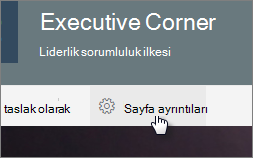 Sayfa Ayrıntıları menüsü