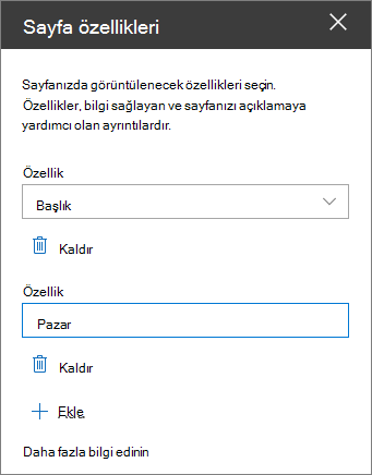 Sayfa özellikleri web bölümü bölmesi