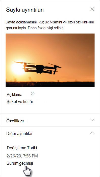 Sayfa ayrıntılarının altındaki sürüm geçmişi bağlantısının ekran görüntüsü
