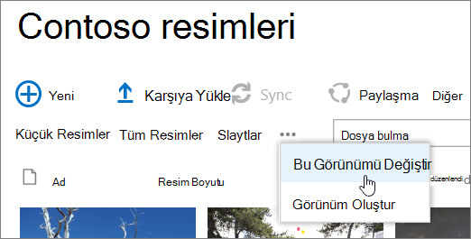 Görünümü Değiştir'in seçili olduğu Resim kitaplığı görünüm çubuğu
