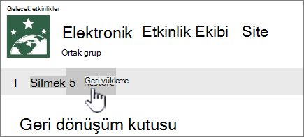 Öğeleri geri getirmek için Geri Yükle'ye tıklayın