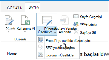Şeride açılan ve Özellikleri Düzenle seçeneğinin vurgulandığı sayfa sekmesi