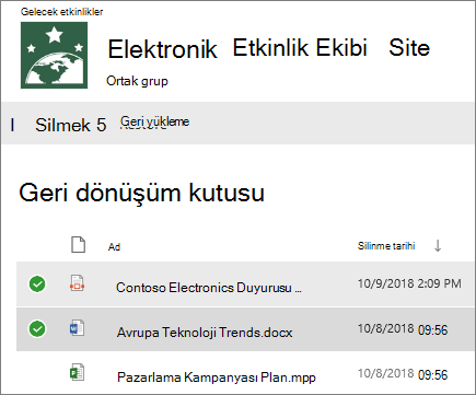 Geri yüklemek için bir veya daha fazla öğe seçin