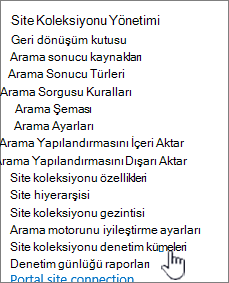 Site Ayarları iletişim kutusunda seçili site koleksiyonu denetim ayarları.