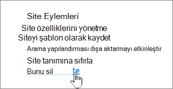Bu siteyi sil seçeneğinin vurgulandığı Site ayarları menüsü