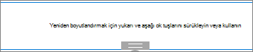 Düzenleme modunda ara veren web bölümü